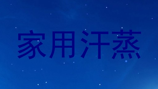 家用汗蒸