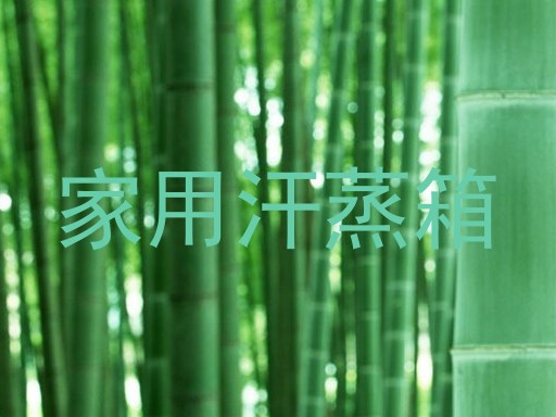 家用汗蒸箱