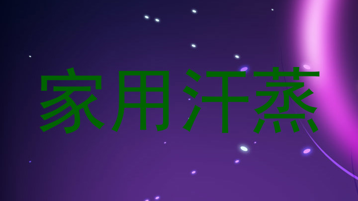 家用汗蒸
