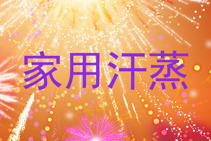 家用汗蒸