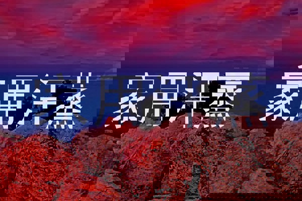 家用汗蒸