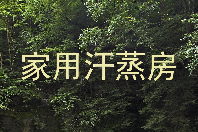 家用汗蒸房