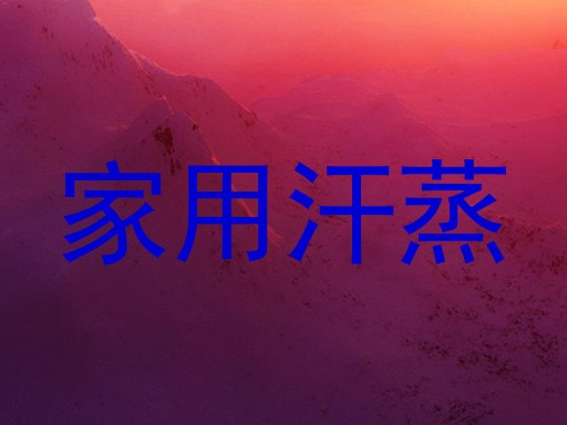 家用汗蒸