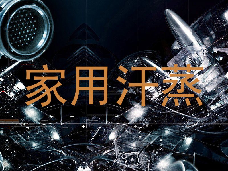 家用汗蒸