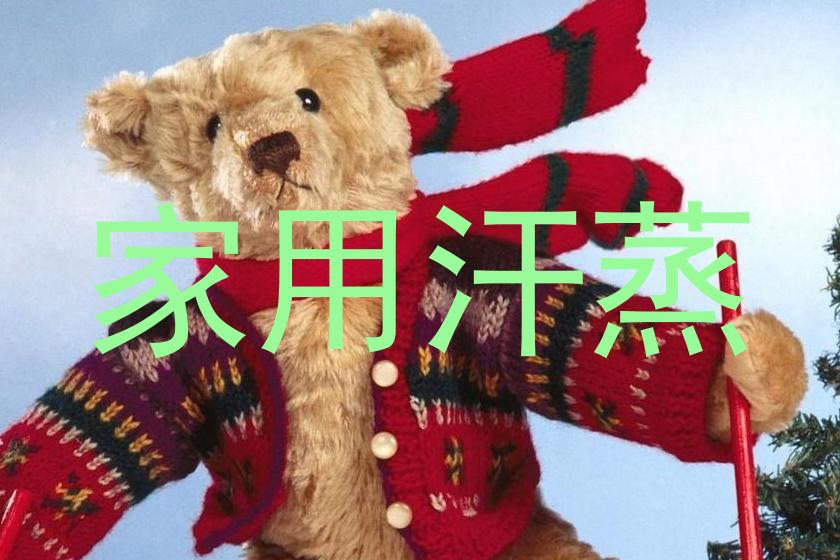 家用汗蒸
