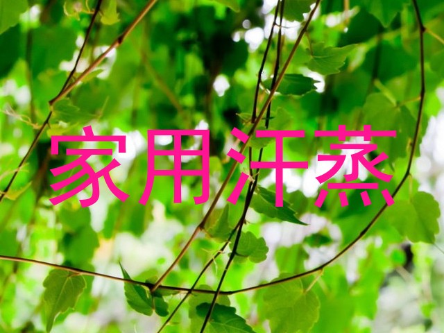 家用汗蒸