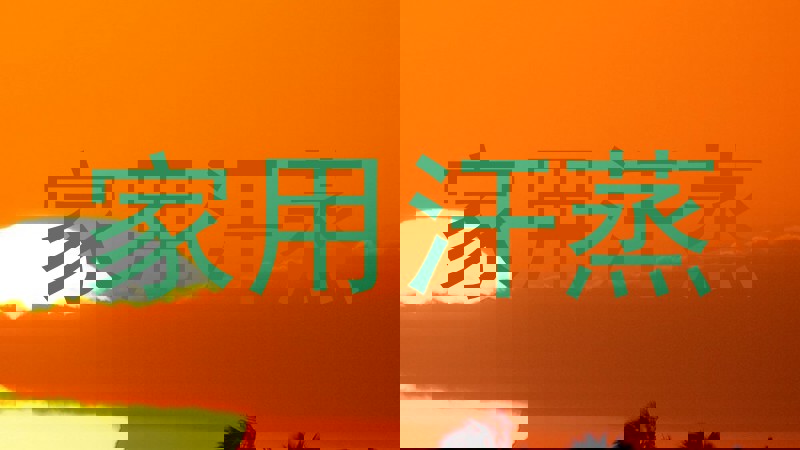 家用汗蒸