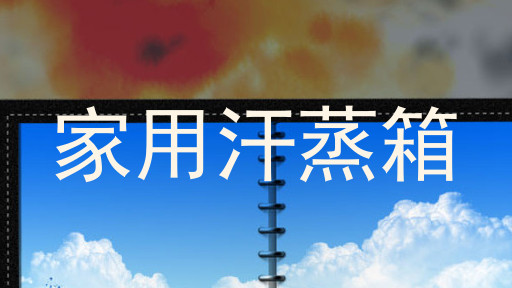 家用汗蒸箱