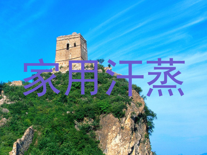 家用汗蒸