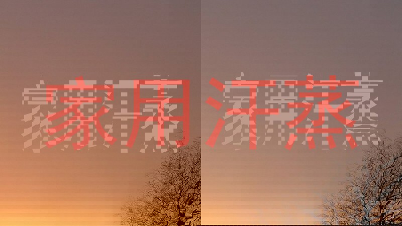 家用汗蒸