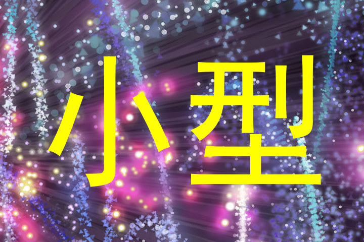 小型