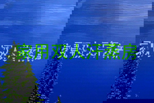家用双人汗蒸房