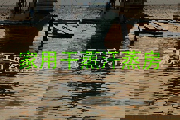 家用干蒸汗蒸房