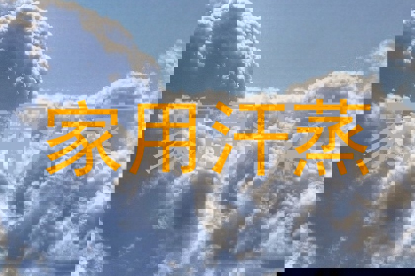 家用汗蒸