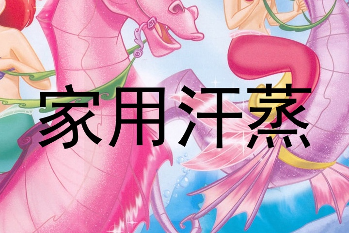 家用汗蒸