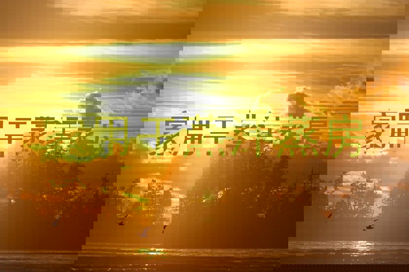 家用干蒸汗蒸房