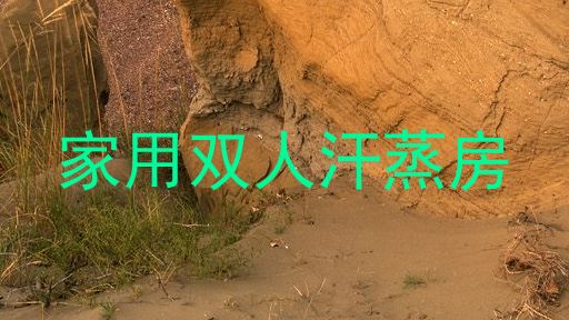家用双人汗蒸房
