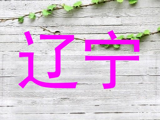 辽宁