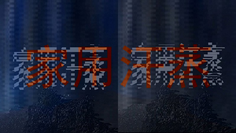 家用汗蒸