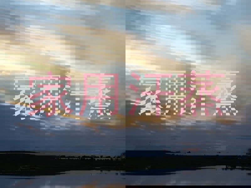 家用汗蒸