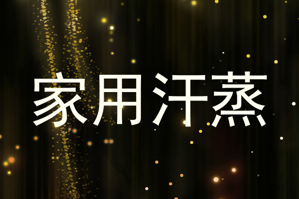 家用汗蒸