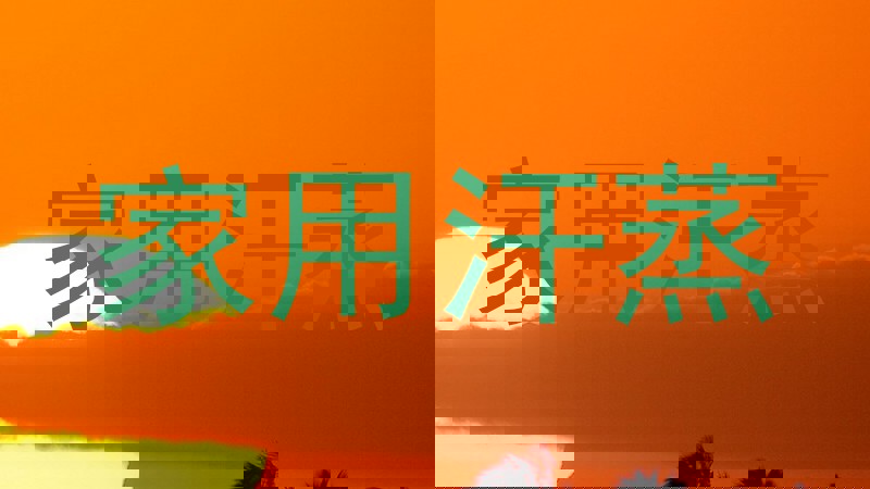 家用汗蒸
