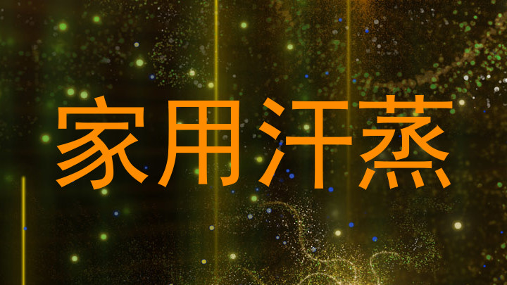 家用汗蒸