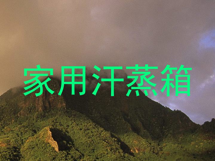 家用汗蒸箱