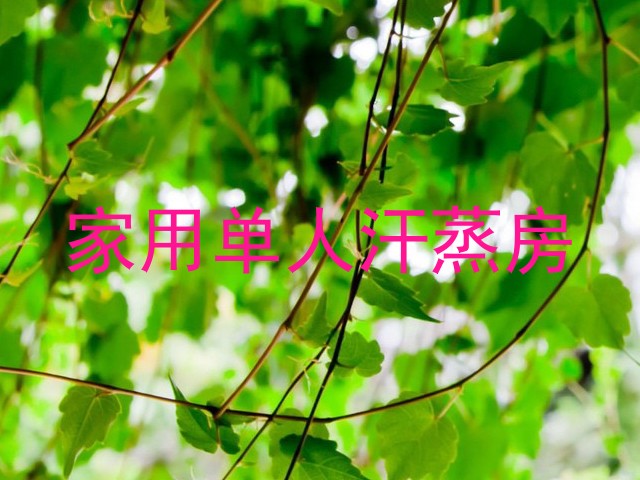 家用单人汗蒸房