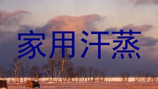 家用汗蒸