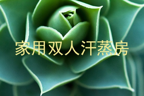 家用双人汗蒸房
