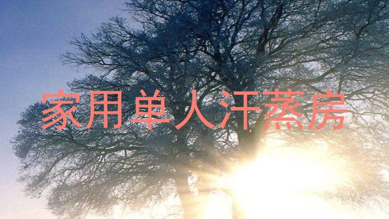 家用单人汗蒸房