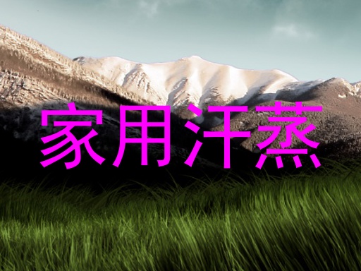 家用汗蒸