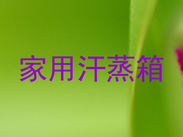 家用汗蒸箱