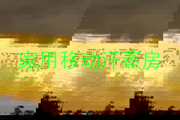 家用移动汗蒸房