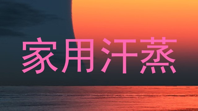 家用汗蒸