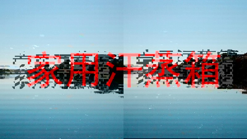家用汗蒸箱