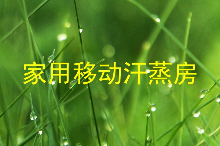 家用移动汗蒸房