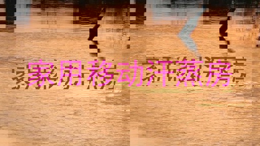 家用移动汗蒸房