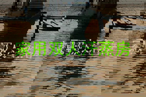 家用双人汗蒸房