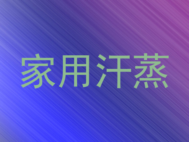 家用汗蒸