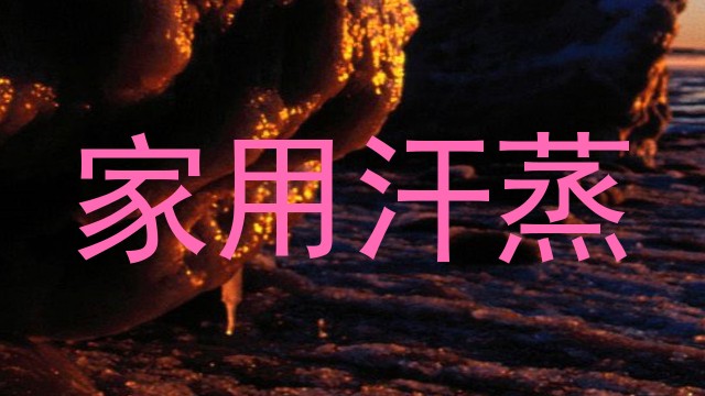 家用汗蒸