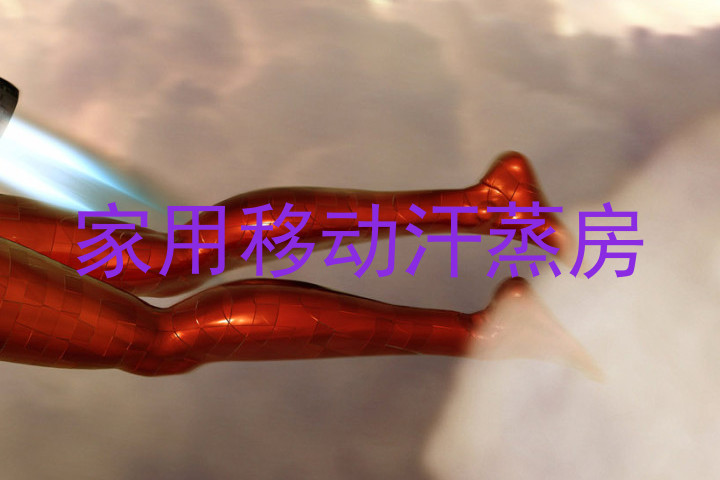 家用移动汗蒸房