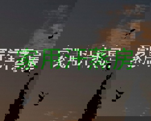 家用汗蒸房