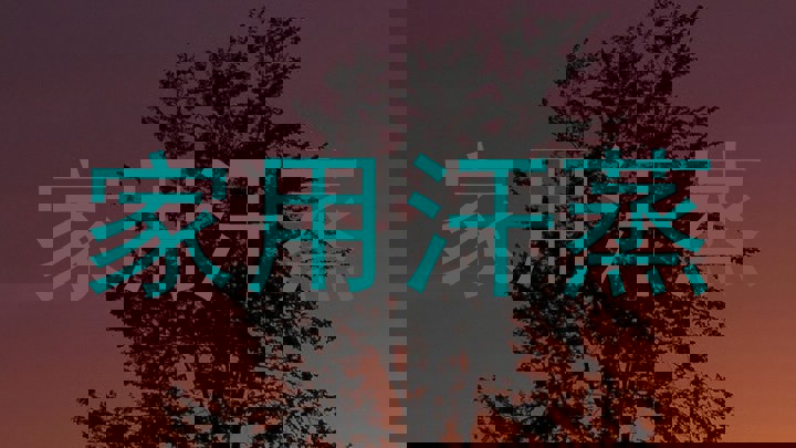 家用汗蒸