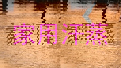 家用汗蒸
