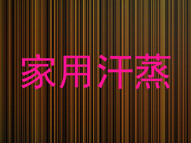 家用汗蒸