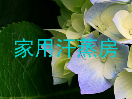 家用汗蒸房