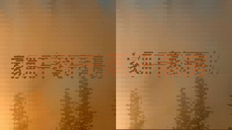 家用干蒸汗蒸房