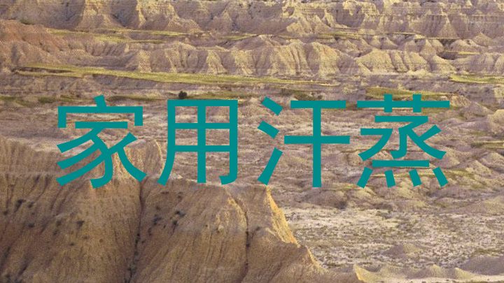 家用汗蒸